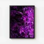 poster fleurs violettes avec cadre.webp