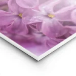 poster fleurs violettes en gros plan lightpanel.webp
