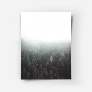 poster foret brumeuse monochrome.webp