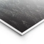 poster foret brumeuse monochrome lightpanel.webp