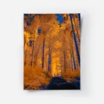 poster foret doree.webp