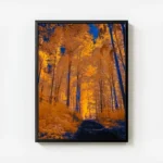 poster foret doree avec cadre.webp