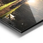 poster foret paisible aluminium.webp