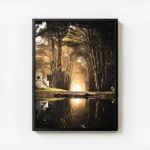 poster foret paisible avec cadre.webp