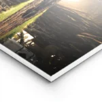 poster foret paisible lightpanel.webp