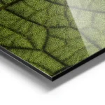 poster gros plan feuille verte aluminium.webp