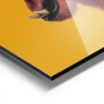 poster guepard arc en ciel aluminium.webp