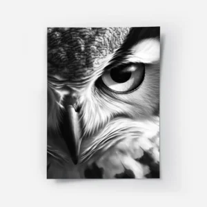 poster hibou grand duc.webp