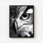poster hibou grand duc avec cadre.webp
