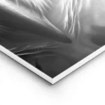 poster hibou grand duc lightpanel.webp