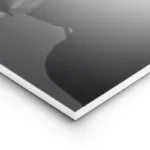 poster homme et papillons noir lightpanel.webp