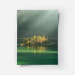 poster ile en fleurs.webp