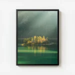 poster ile en fleurs avec cadre.webp