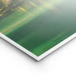 poster ile en fleurs lightpanel.webp