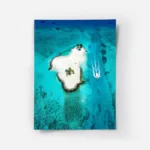 poster ile tropicale turquoise.webp
