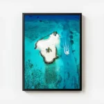 poster ile tropicale turquoise avec cadre.webp