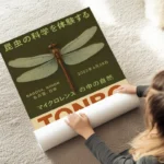 poster insecte libellule au sol.webp