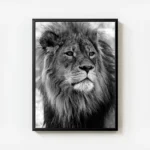 poster lion noir et blanc avec cadre.webp