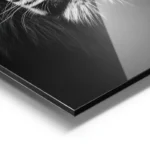 poster lion realiste majestueux aluminium.webp