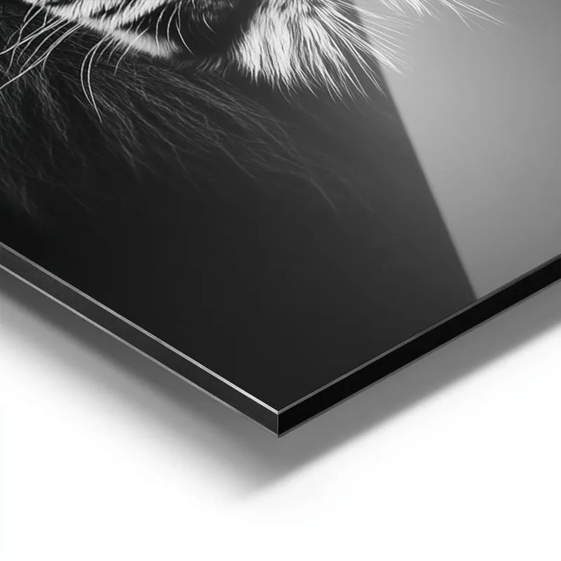 Image galerie 9