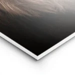 poster lion sepia lightpanel.webp