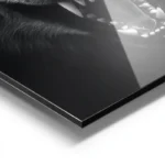 poster loup feroce aluminium.webp