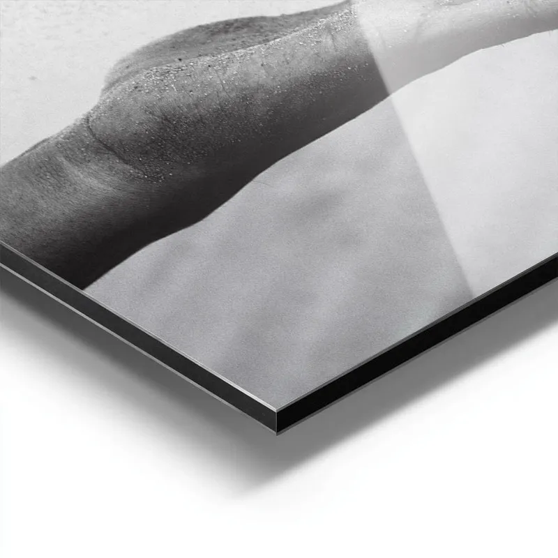 Image galerie 9