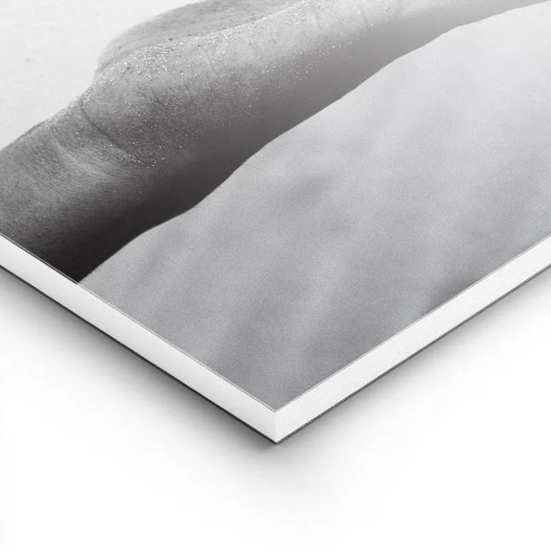 Image galerie 8