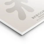 poster matisse abstrait lightpanel.webp