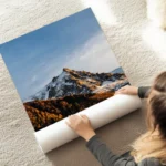 poster montagne enneigee au sol.webp
