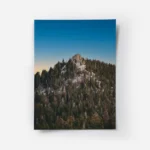 poster montagne et arbres.webp