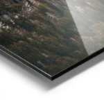 poster montagne et arbres aluminium.webp