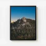 poster montagne et arbres avec cadre.webp