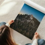 poster montagne et arbres en rouleau.webp