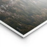 poster montagne et arbres lightpanel.webp