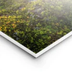 poster montagne et coucher de soleil lightpanel.webp