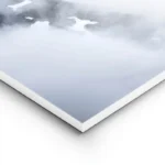 poster montagnes enveloppees de brume lightpanel.webp