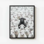 poster mouton noir parmi des moutons blancs avec cadre.webp