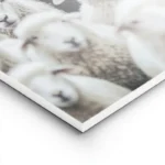 poster mouton noir parmi des moutons blancs lightpanel.webp
