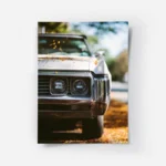 poster muscle car blanche.webp