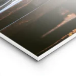 poster muscle car blanche lightpanel.webp