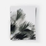 poster palmier graphique.webp