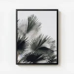 poster palmier graphique avec cadre.webp