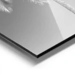 poster palmier noir et blanc aluminium.webp