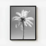 poster palmier noir et blanc avec cadre.webp
