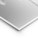 poster palmier noir et blanc lightpanel.webp