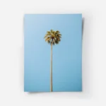 poster palmier tropical.webp