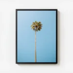 poster palmier tropical avec cadre.webp
