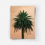 poster palmier vert.webp