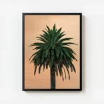 poster palmier vert avec cadre.webp
